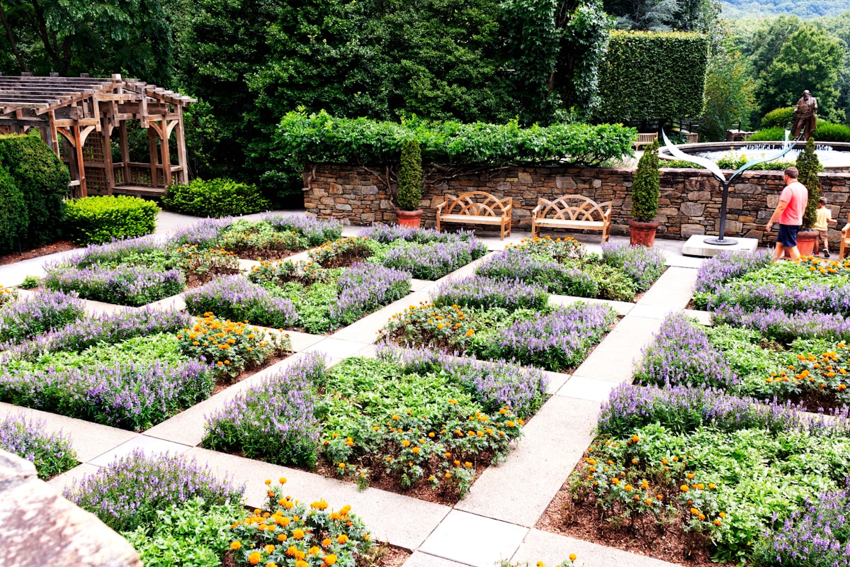 Family garden with entertainment zone and safe play areas